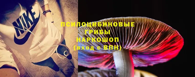 Галлюциногенные грибы MAGIC MUSHROOMS  Инсар 